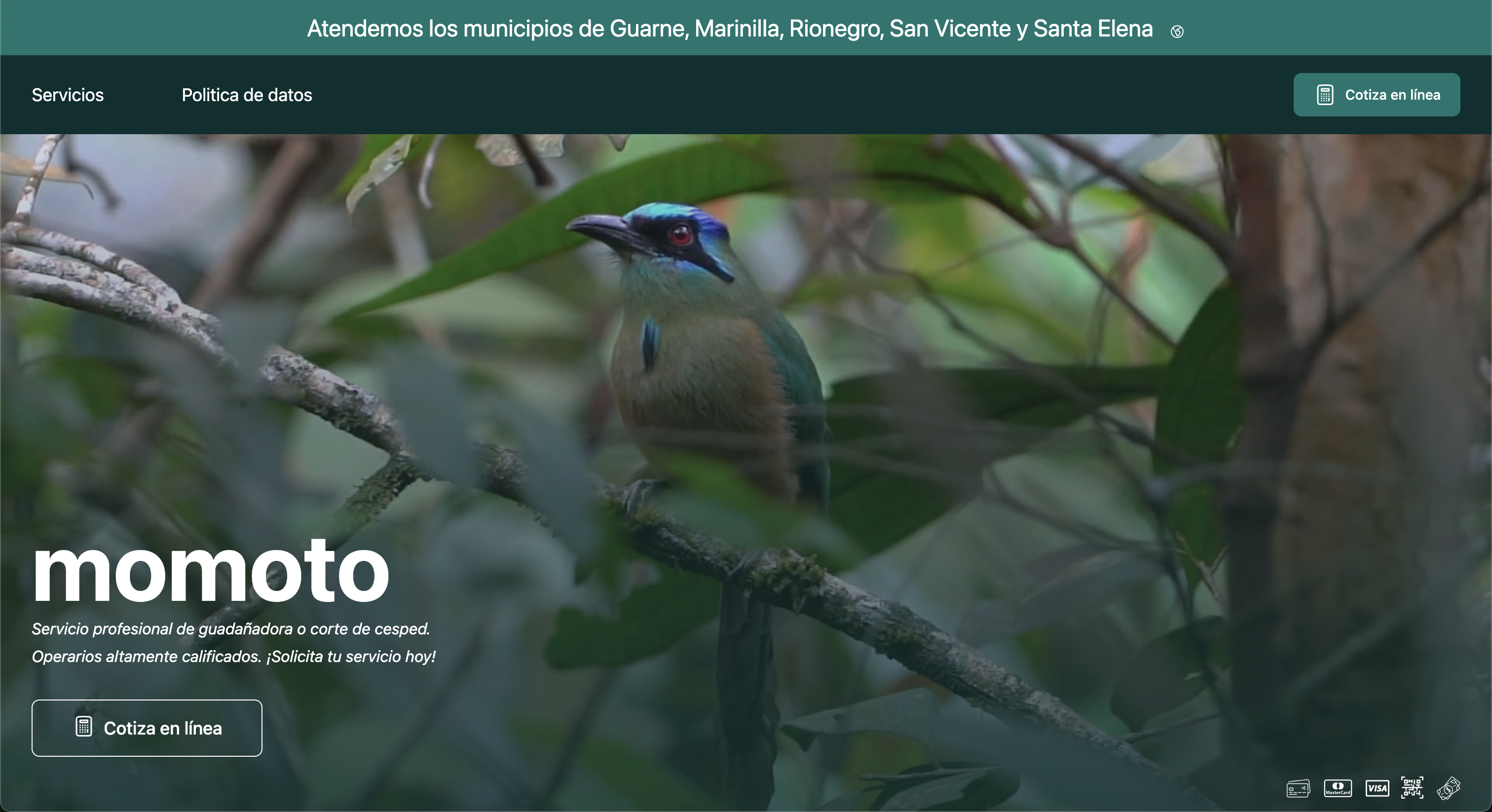 Momoto (proyecto personal)